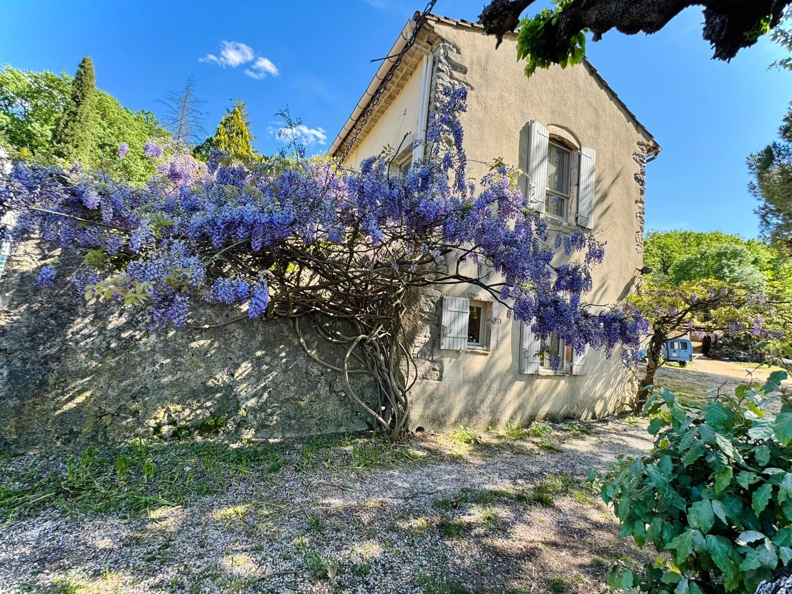 Entrée fleurie