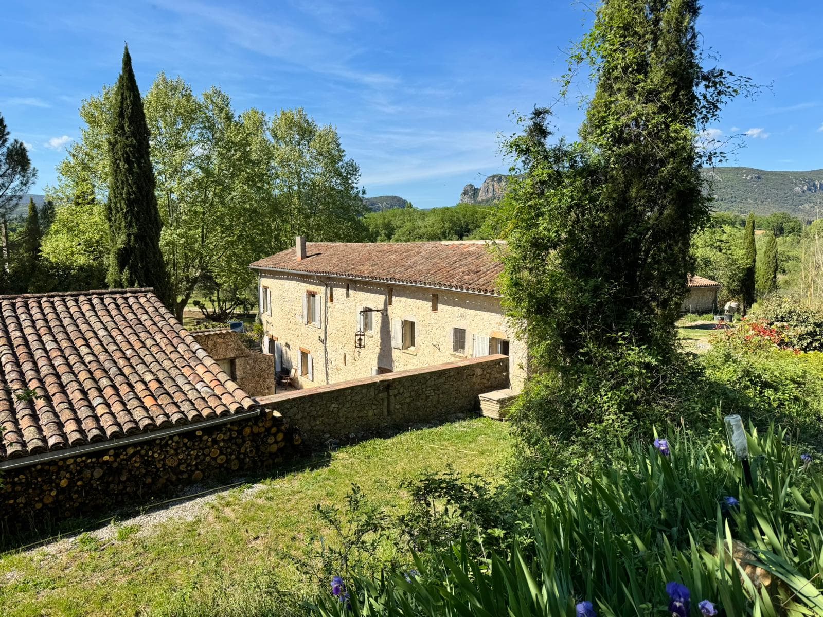 Verdure du domaine